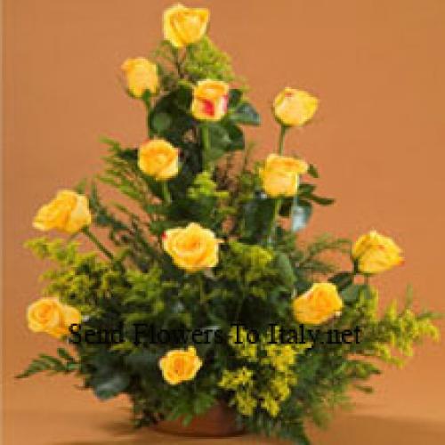 11 Charming Yellow Roses