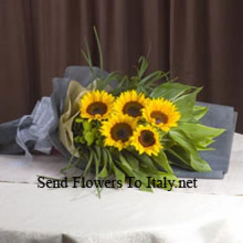 Handpicked Sunflowers Bunch