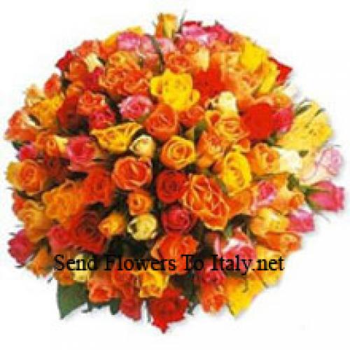 101 Lovely Mixed Roses