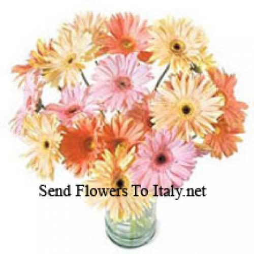 25 Fancy Assorted Gerberas