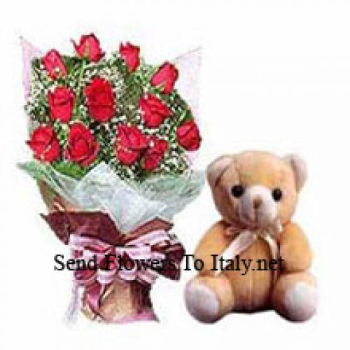 11 Beautiful Roses with Elegant Teddy