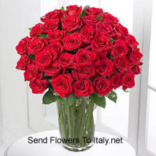 51 Cute Red Roses