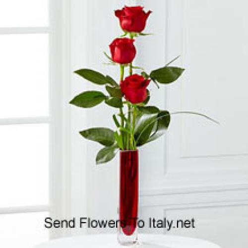 3 Carini Rose Rosse